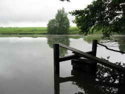 1246202200_img_2600.jpg