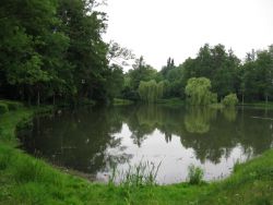 1246202746_img_2450.jpg