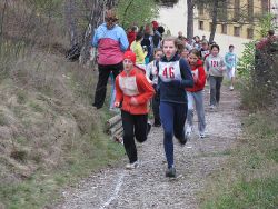 1256204348_img_3781.jpg