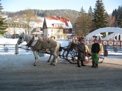 1264974954_img_4163.jpg