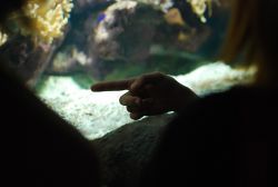 1269720448_akva_14.jpg