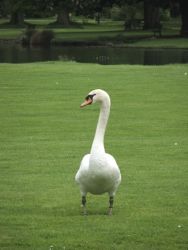 1274640020_dscf5656.jpg