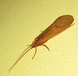 1276154821_img_4632.jpg