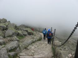 Exkurze 2010-Krkonoše