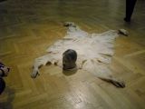 1290212318_cimg3882.jpg