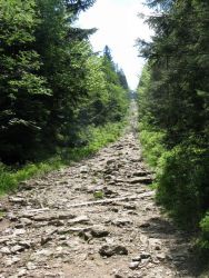 1306450537_563.jpg