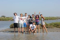 1340109591_camargue2.jpg
