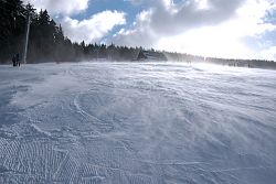 1104736572_betyna_04-(305).jpg