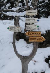 1359361881_21.jpg