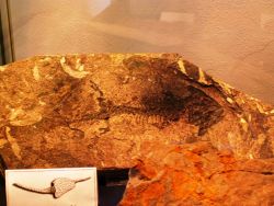 1370520418_muzeum2.jpg