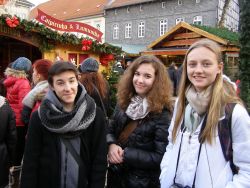 Vánoční GOSLAR