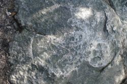 1398421243_kora32.jpg