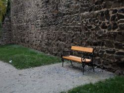 1446488961_web_kohout6.jpg