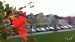 1446489798_beroun1.jpg