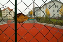 1446577657_kromp_w_4.jpg