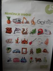 20161112_101011.jpg