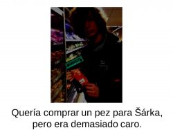 Snímek2.JPG