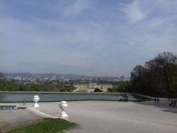 20170425_104147.jpg