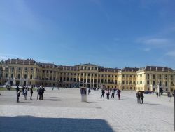 20170425_085849.jpg