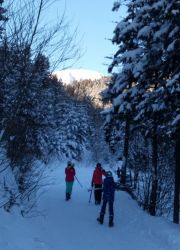 IMG_20171218_135738-01.jpeg