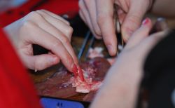 DSC_0057.jpg
