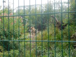 DSCN1917.jpg