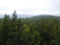 DSCN1935.jpg