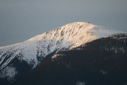 1204710736_img_2238.jpg