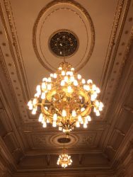 IMG_1450.HEIC.jpg