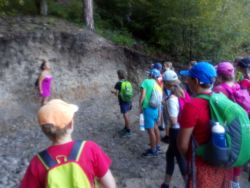 IMG_20190904_164533.jpg