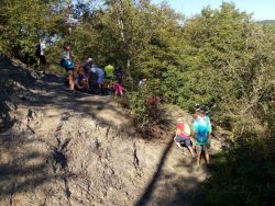 IMG_20190904_155347.jpg