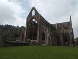 Tintern Abbey.jpg