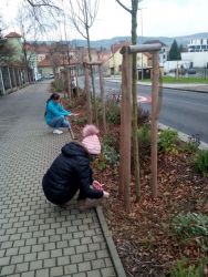 IMG_20201211_113742.jpg