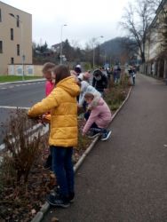 IMG_20201211_103143.jpg