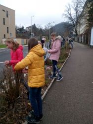 IMG_20201211_103145.jpg