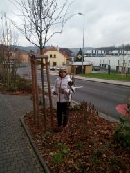 IMG_20201211_113806.jpg