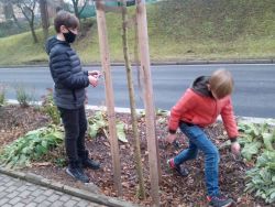 IMG_20201211_113634.jpg