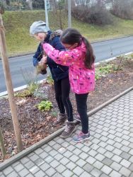 IMG_20201211_113620.jpg