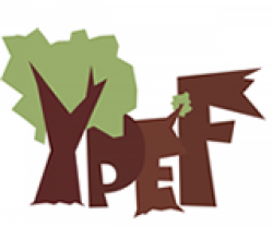 YYEF 2021