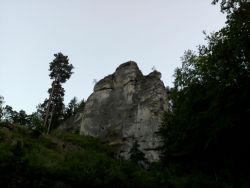 IMG_20210623_205917.jpg