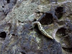 IMG_20210623_204859.jpg