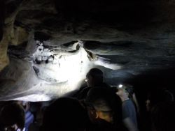 IMG_20210624_111218.jpg