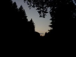 IMG_20210623_212129.jpg