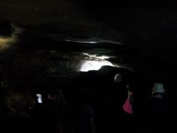 IMG_20210624_111510.jpg