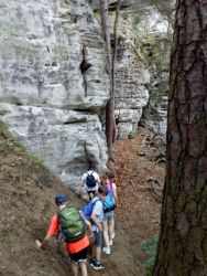 IMG_20210623_203704.jpg