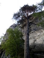 IMG_20210623_202110.jpg