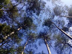 IMG_20210624_094238.jpg