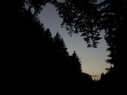 IMG_20210623_212135.jpg