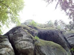IMG_20210623_210428.jpg