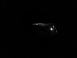 IMG_20210624_184756_729.jpg